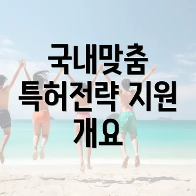국내맞춤 특허전략 지원 개요