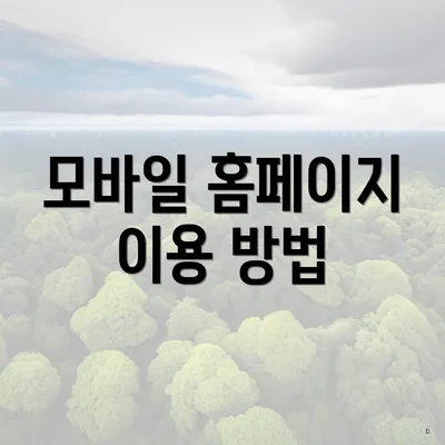 모바일 홈페이지 이용 방법
