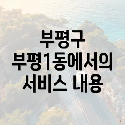 부평구 부평1동에서의 서비스 내용
