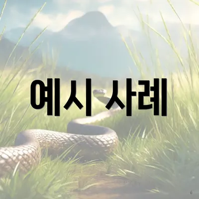 예시 사례
