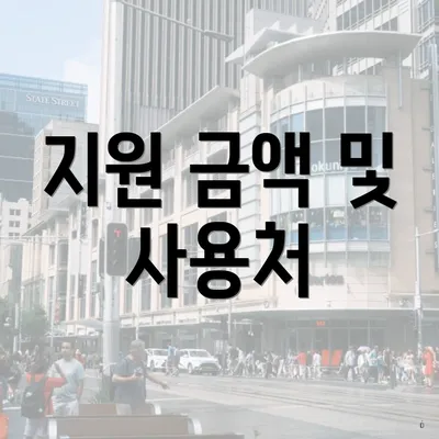 지원 금액 및 사용처