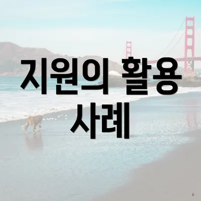 지원의 활용 사례